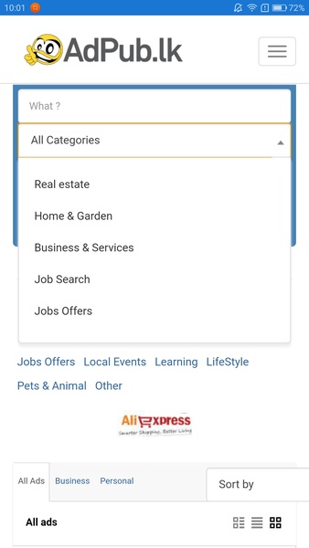 AdPub Classifieds - Preview 3