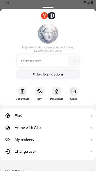 Yandex - Preview 3