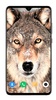 Wolf Wallpaper 4K screenshot 13