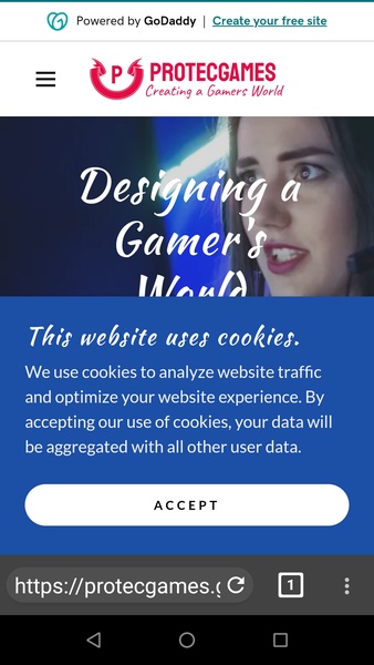 ProTec Browser - Preview 1
