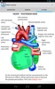 Heart Lecture screenshot 2