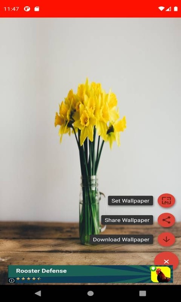The most beautiful spring pictures around the world 4K - Preview 6