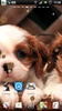 puppy dog live wallpaper screenshot 4