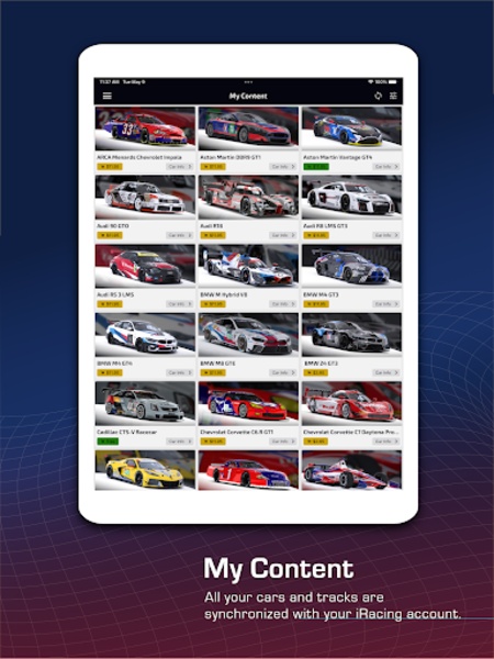 iRacing Companion - Preview 2
