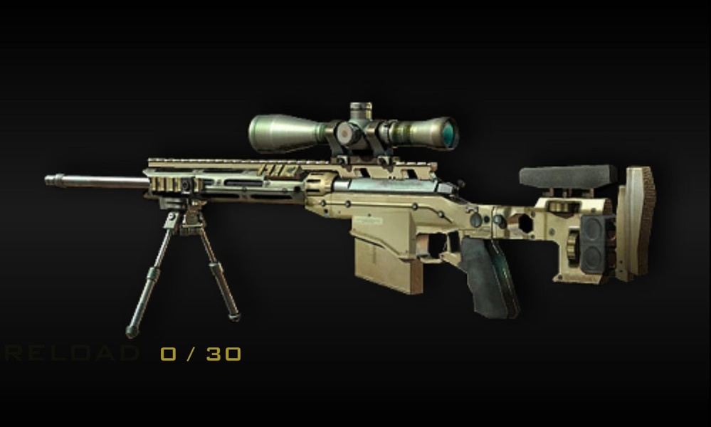Advanced Warfare Guns - Preview 3