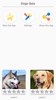 Dog Breeds - Quiz about all dogs of the world! screenshot 8