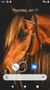 Horse Wallpaper HD screenshot 9