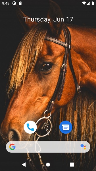 Horse Wallpaper HD - Preview 9