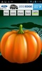 Halloween Pumpkin Carver screenshot 1