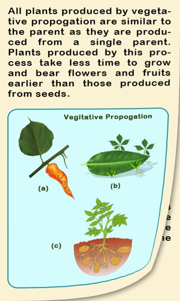 Biology III - Preview 3