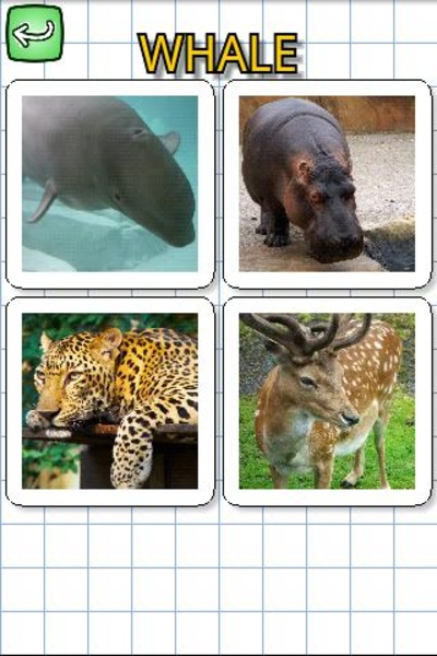 Animals in English - Preview 2