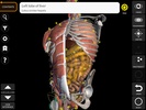 Anatomy 3D Atlas screenshot 8