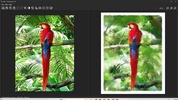 FotoSketcher screenshot 4