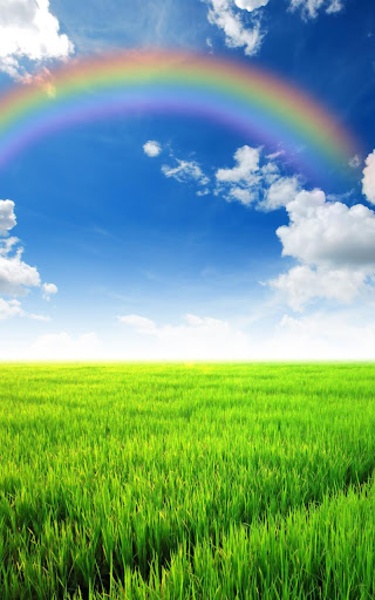 Rainbow Live Wallpaper - Preview 4