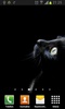 Black cats Live Wallpaper screenshot 5
