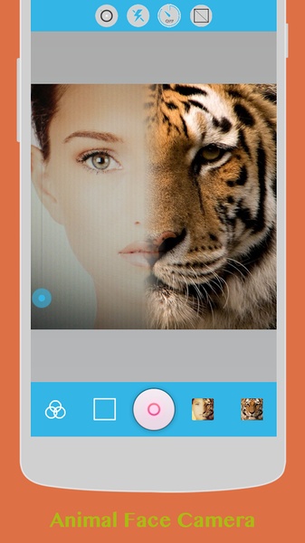 Insta Face - Preview 13