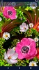 Pink Flower Live Wallpaper screenshot 3