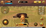 Wild Lion Simulator screenshot 3