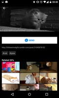 GIPHY - Animated GIFs Search Engine screenshot 4