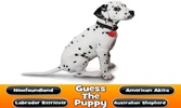 Guess The Puppy Breed Trivia screenshot 8