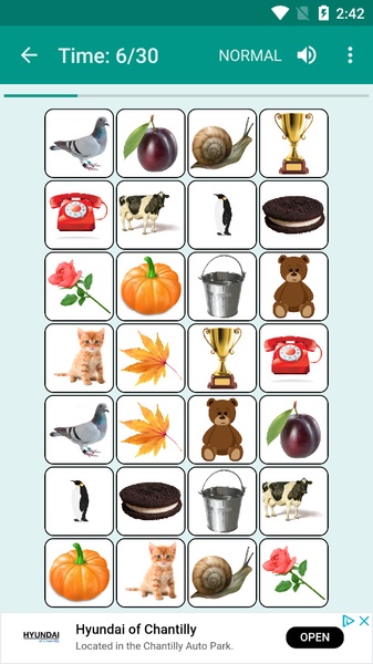 Brain game. Picture Match - Preview 12