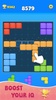 Color Block Puzzle Game screenshot 11