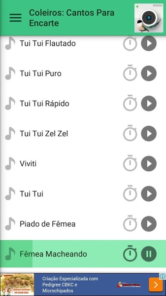 ColeirosCantosParaEncarte - Preview 2