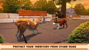 Play With Your Dog: Shiba Inu screenshot 4