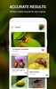 Insect identifier by Photo Cam screenshot 2