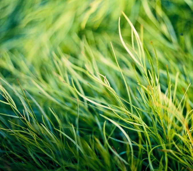 HTC One M8 wallpapers - Preview 9