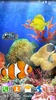 Coral Fish Live Wallpaper screenshot 8