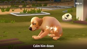 Pet Resort screenshot 2