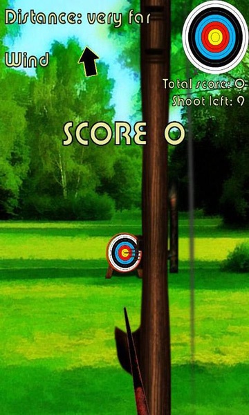 Archer bow shooting - Preview 9