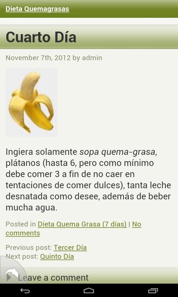 Dieta Quemagrasas - Preview 1