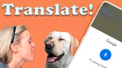 iDog: Dog Translator screenshot 8