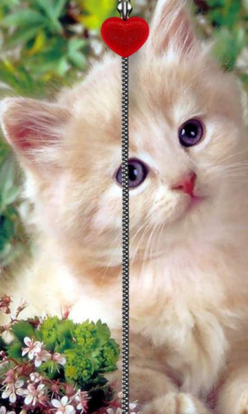 Kitten Zipper Screen Lock - Preview 8