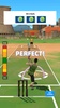 Cricket Gangsta screenshot 7