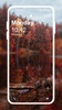 Autumn HD Wallpapers screenshot 7