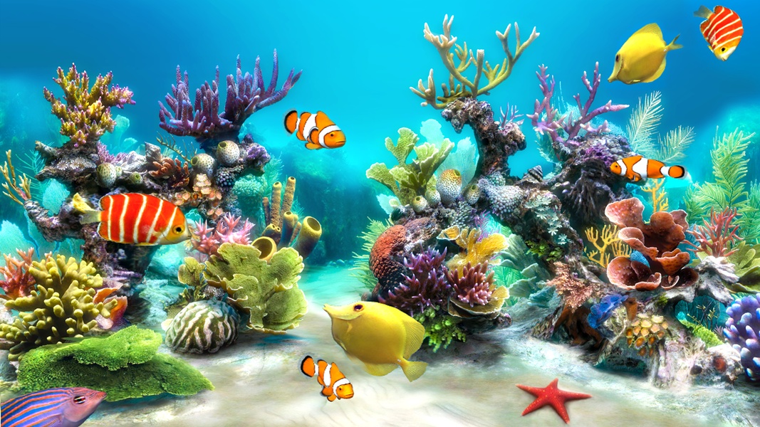 Sim Aquarium - Preview 4