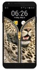 layar kunci zipper - leopard screenshot 1