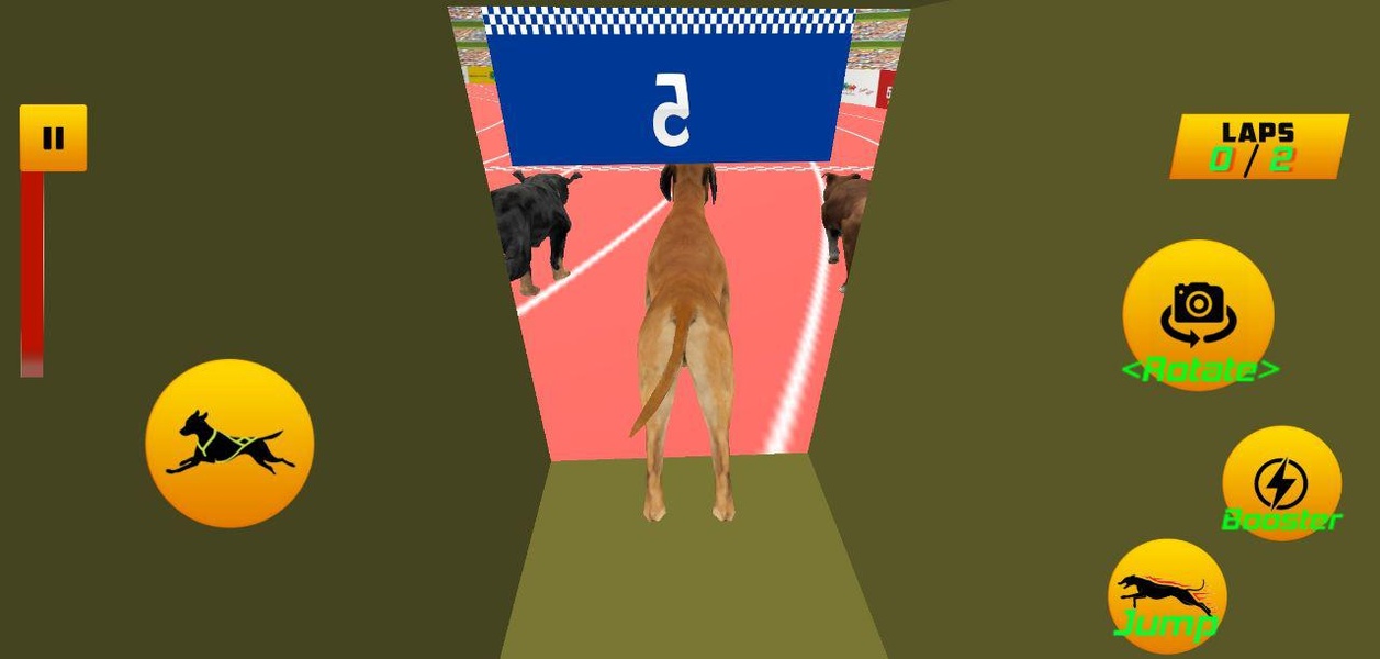 Dog Race 2019 - Preview 7