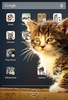 Scleen Cat Icon Changer screenshot 1