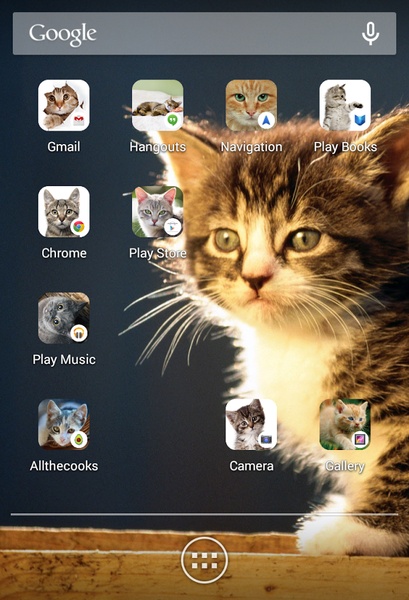 Scleen Cat Icon Changer - Preview 1