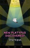 Platypus Evolution screenshot 8