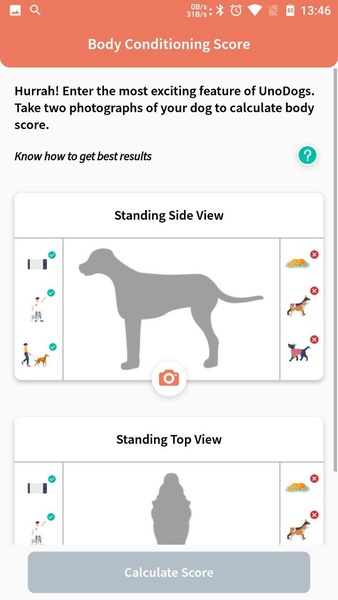 UnoDogs - Preview 8