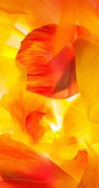 Wallpapers GS5 - Preview 7