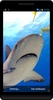 Shark Live Wallpaper screenshot 3