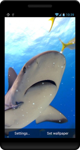 Shark Live Wallpaper - Preview 3