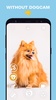 DogCam - Dog Selfie Filters an screenshot 6