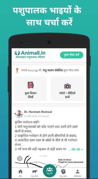 Animall - Preview 5